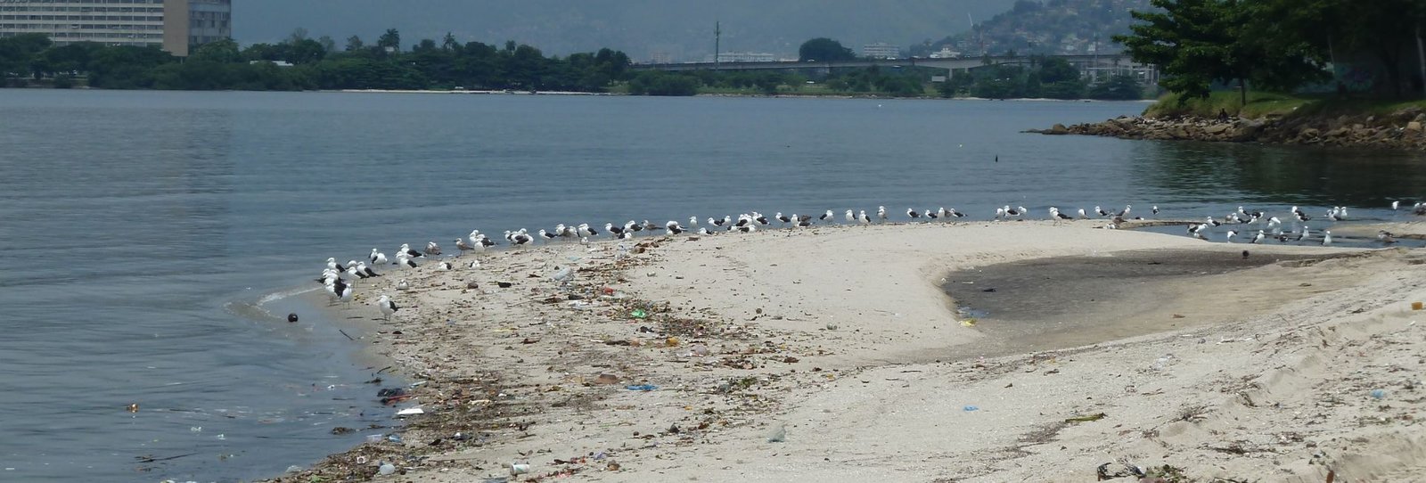 Marceneiro na ilha do governador